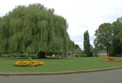 kwiaty peterborough park