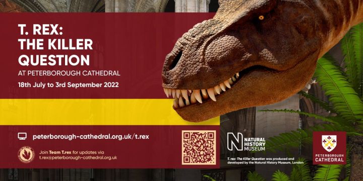 pnw 389 t rex dinozaury katedra peterborough wystawa polacy polonia strona portal ogloszenia