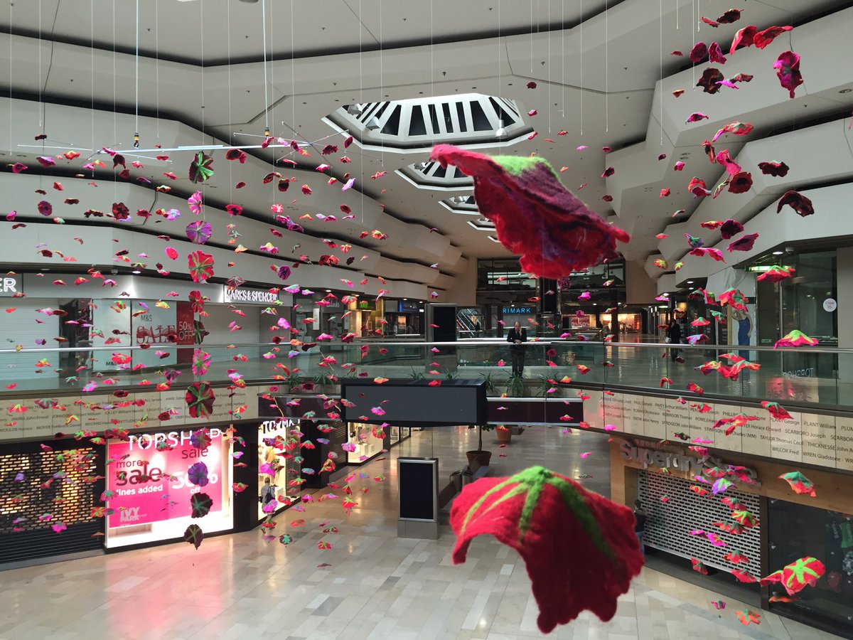 sky of poppies peterborough slider