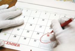 swiateczny niezbednik