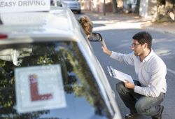 egzamin na prawo jazdy uk