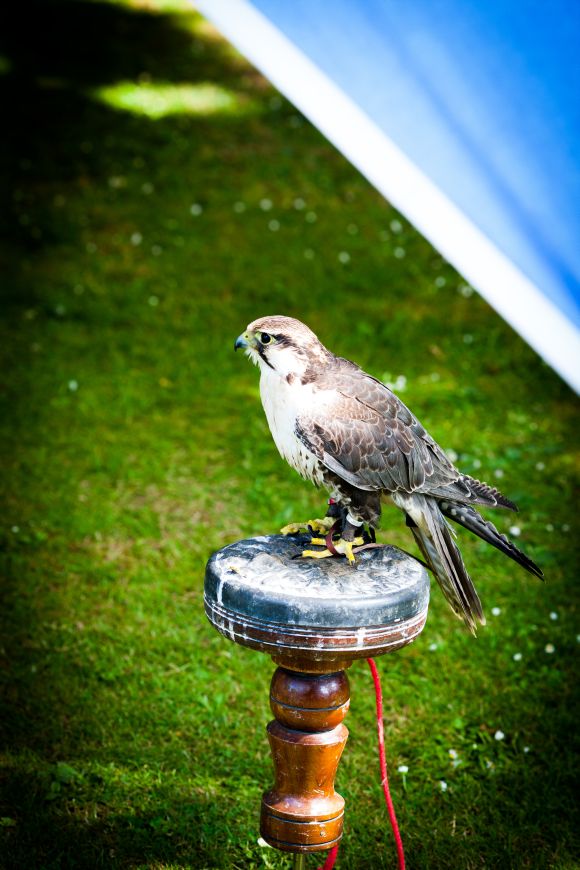 polski_fotograf_peterborough_h10