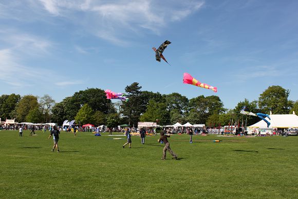 kite_festival_bedfordpl.com_9