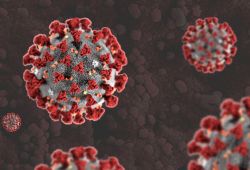 testy koronawirus peterborough